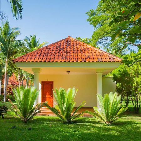 Pato Canales Hotel & Resort San Luis Zewnętrze zdjęcie